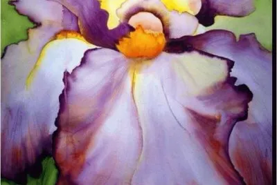 Beautiful Lily