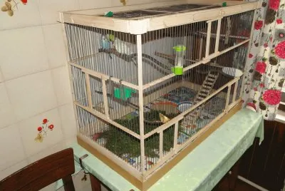 solata