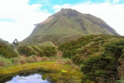 mount apo