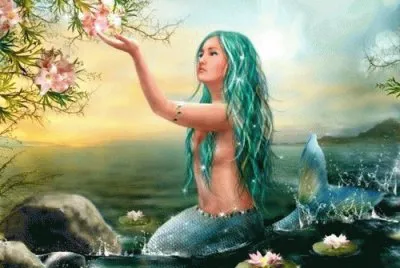 Fadas, bruxas e ninfas.