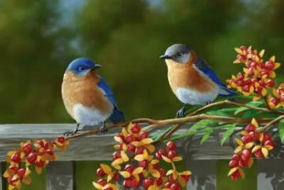 פאזל של imagens