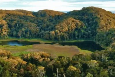 venado lake