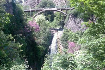 botanical garden