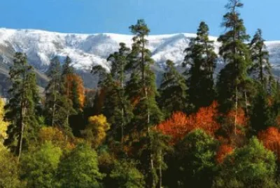 borjomi kharagauli national park