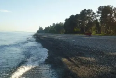 chakvi