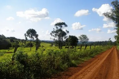 En Puerto Rico. Misiones. Argentina