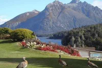 פאזל של Llao Llao. RÃ­o Negro. Argentina