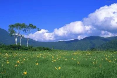 NATUREZA