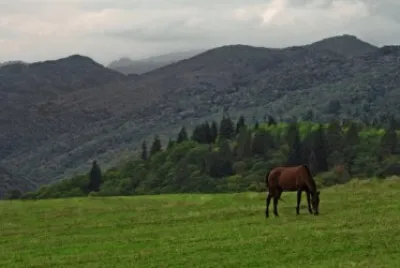 פאזל של manglisi
