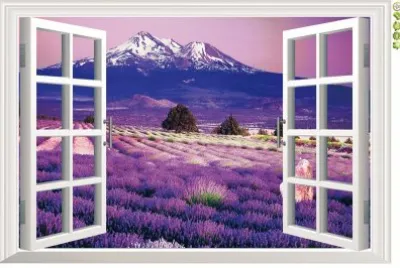 NATUREZA