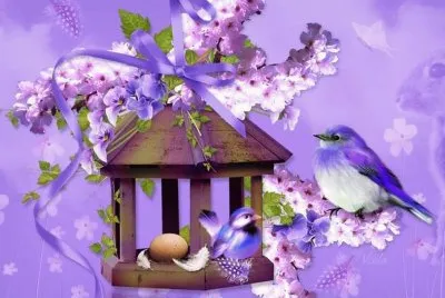 פאזל של imagens