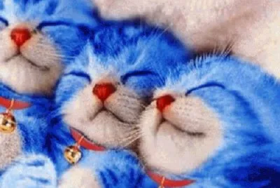 פאזל של imagenes