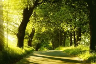 naturaleza