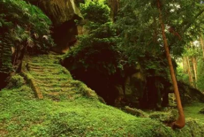 naturaleza jigsaw puzzle