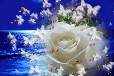 imagenes