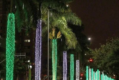 SANTA  CATARINA