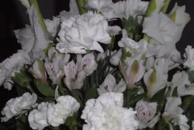 White love