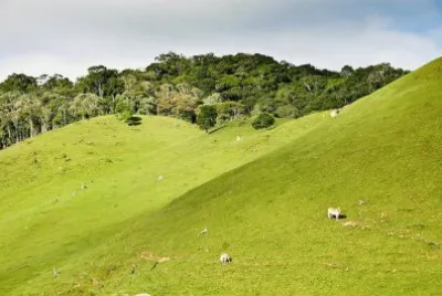 פאזל של imagens