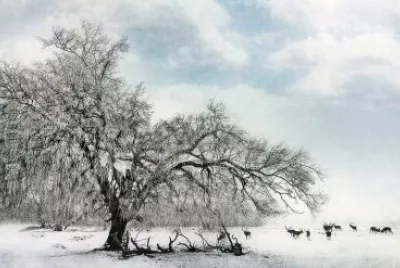 winter-119
