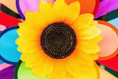 Colored Flower