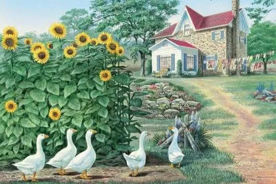 פאזל של girasol