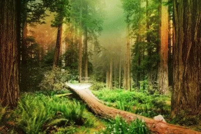 Naturaleza hermosa