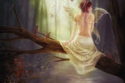 Fadas, duendes e ninfas.