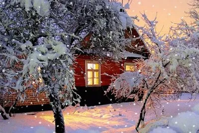 White love