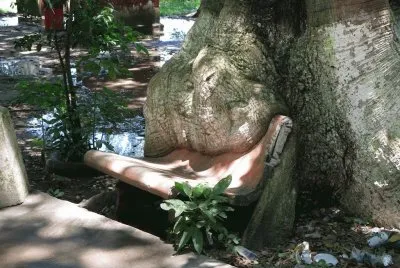 Ã¡rbol almorzando un banco