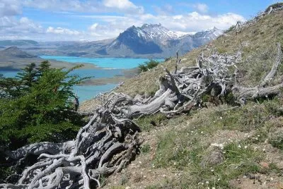Lago Belgrano. Patagonia Argentina jigsaw puzzle