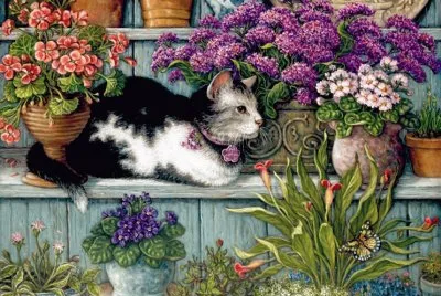 פאזל של imagenes