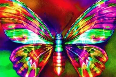 Colorful Butterfly