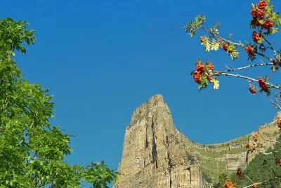 vzla