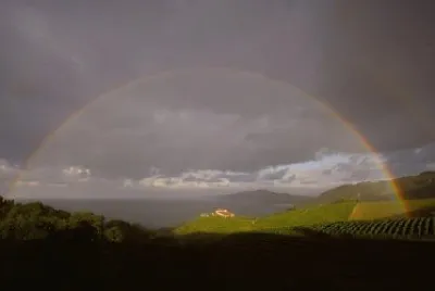 vzla