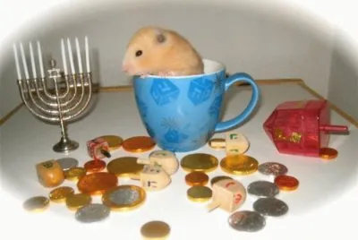 פאזל של celebrando