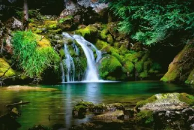 Natureza jigsaw puzzle