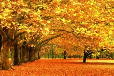 Natureza