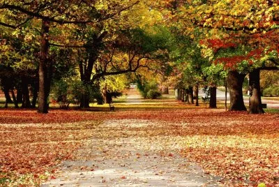 Natureza