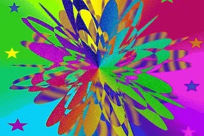 lily6