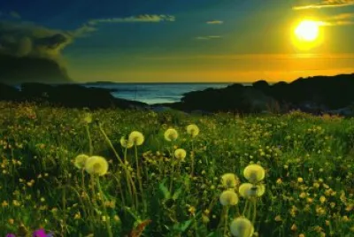Natureza