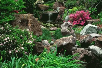 Natureza jigsaw puzzle