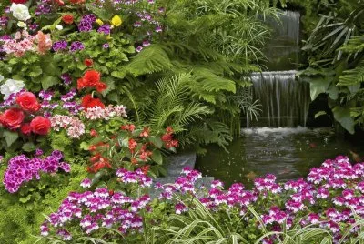 Natureza