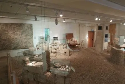 hecht museum