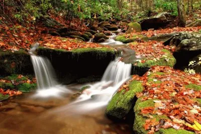 Natureza