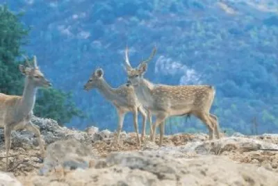 hai bar nature reserve