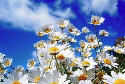 Natureza