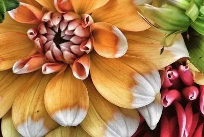 Natureza jigsaw puzzle