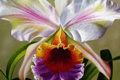 Natureza jigsaw puzzle