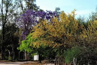 En San Antonio. Catamarca. Argentina