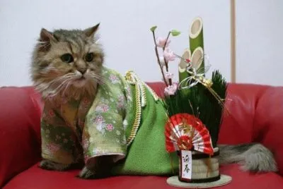 kimono